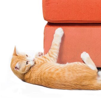 Couch Guard Kat Klauw Protector Pinloze Self-adhesie Bescherm Pads Krabpalen Meubels Voor Bekleding Lederen Stoelen Fauteuil