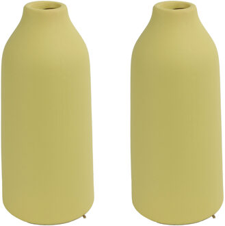 Countryfield 2x stuks bloemenvaas - geel terracotta - D11 x H23 cm - smalle opening