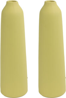 Countryfield 2x stuks bloemenvaas - geel terracotta - D9 x D31 cm - smalle opening