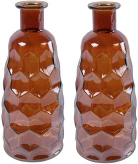 Countryfield Art Deco bloemenvaas - 2x - cognac bruin transparant - glas - D12 x H30 cm - Vazen