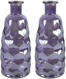 Countryfield Art Deco bloemenvaas - 2x - paars transparant - glas - D12 x H30 cm