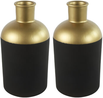 Countryfield Bloemen/deco vaas - 2x - zwart/goud - glas - luxe fles vorm - D17 x H31 cm