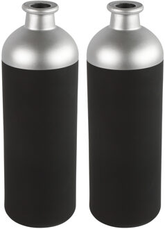 Countryfield Bloemen/deco vaas - 2x - zwart/zilver - glas - luxe fles vorm - D11 x H33 cm