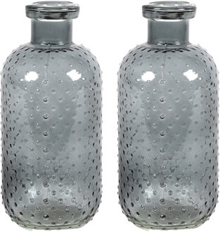 Countryfield Bloemenvaas Cactus Dots - 2x - donkergrijs transparant - glas - D11 x H24 cm - Vazen