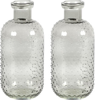 Countryfield Bloemenvaas Cactus Dots - 2x - grijs transparant - glas - D11 x H24 cm