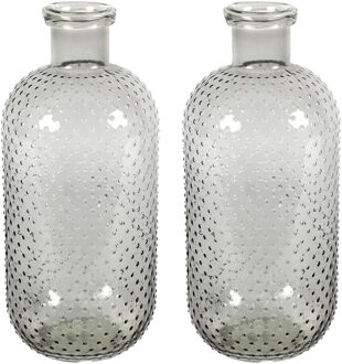 Countryfield Bloemenvaas Cactus Dots - 2x - grijs transparant - glas - D15 x H35 cm