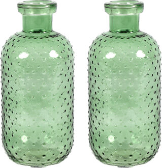 Countryfield Bloemenvaas Cactus Dots - 2x - groen transparant - glas - D11 x H24 cm - Vazen