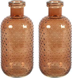 Countryfield Bloemenvaas Cactus Dots - 2x - lichtbruin transparant - glas - D11 x H24 cm
