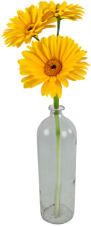 Countryfield Bloemenvaas/flesvaas Dawn - helder glas - D13 x H41 cm - vaas