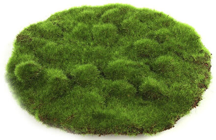 Countryfield Deco Mosschijf Marchantiophyta groen