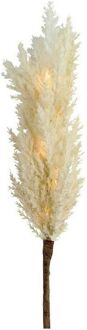 Countryfield Decoratieve Tak Astilbe met LED - Creme - 90 cm Crème