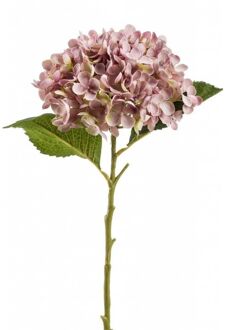 Countryfield Decoratieve tak Hydrangea Roze - 64 cm