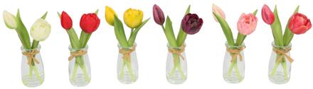Countryfield Glazen vaasje met tulpen 20x10x20cm verschillende