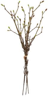 Countryfield Kunst bundel Tilia 3x groen L42B15H5cm