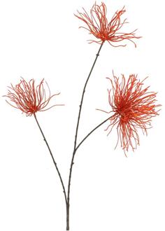 Countryfield Kunstbloem Grevillea oranje 94x24x13cm