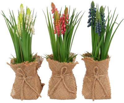 Countryfield Kunstbloem in pot Muscari H20cm verschillende