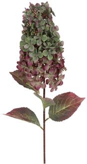 Countryfield Kunstbloem paniculata hydrangea groen