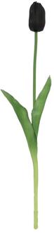 Countryfield Kunstbloem tulp Zwart 10x10x47cm roze