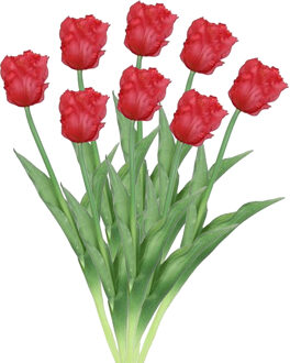 Countryfield Kunstbloemen bos tulp Parkiet - 8x - rood - real touch - levensecht - 40 cm - decoratie bloemen
