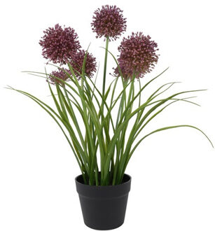 Countryfield Kunstplant Allium H60cm paars