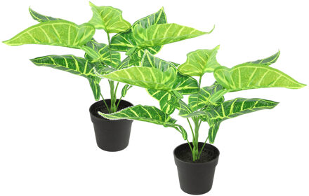 Countryfield Kunstplant Alocasia in bloempot - 2x - Groen - 15 x 32 cm - Kunstplanten