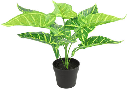 Countryfield Kunstplant Alocasia in bloempot - Groen - 15 x 32 cm