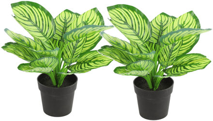 Countryfield Kunstplant Calathea in bloempot - 2x - Groen - 15 x 28 cm - Kunstplanten