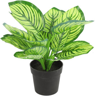 Countryfield Kunstplant Calathea in bloempot - Groen - 15 x 28 cm