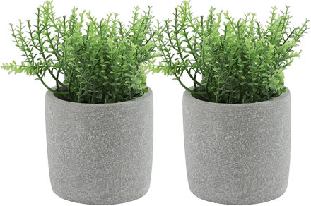 Countryfield Kunstplant/kruiden rozemarijn - 2x - Countryfield - in grijs cement potje - 19 cm - kruiden