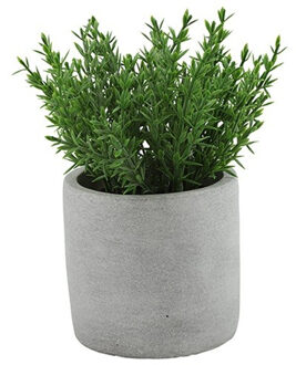 Countryfield Kunstplant/kruiden thijm - Countryfield - in grijs cement potje - 19 cm - kruiden
