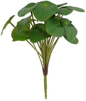 Countryfield Kunstplant Pilea 22x22x25cm groen