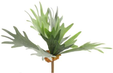 Countryfield Kunstplant Platycerium groen 10xH63,5cm
