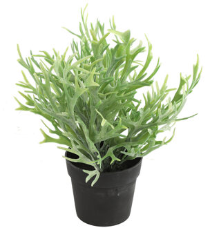 Countryfield Kunstplant Platycerium in bloempot - Groen - 20 x 24 cm
