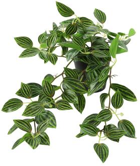 Countryfield Kunstplant steker/hang Peperomia groen