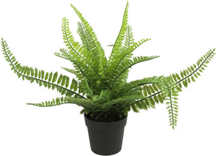 Countryfield Kunstplant Varen Monilophyta in bloempot - Groen - 25 x 36 cm