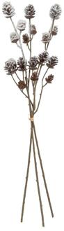 Countryfield Kunsttak bundel Larix bruin 64x12x6cm