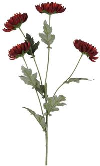 Countryfield Kunsttak Chrysanthemum bruin 20xH83,8cm