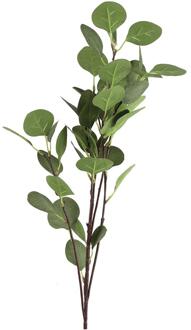 Countryfield Kunsttak Eucalyptus groen 17xH90cm