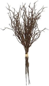 Countryfield Myrica*6 bruin L9B9H47cm