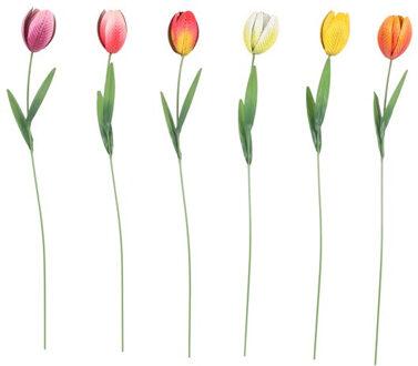 Countryfield Tuinsteker Tulipa H60cm verschillende