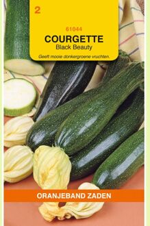 Courgette Black Beauty