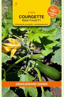 Courgette Black Forest F1