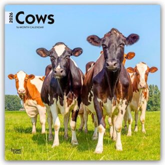 Cows - Kühe 2026 - 16-Monatskalender - Browntrout Wandkalender - Browntrout Publishers