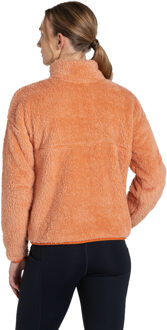 Craghoppers Dames/Dames Bron Half Zip Fleece Top (Klei) Grijs