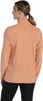 Craghoppers Dames/Dames Miska VI Half Zip Fleece (Klei) Grijs