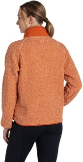 Craghoppers Dames/Dames Toro Half Zip Fleece Top (Klei) Grijs