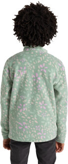 Craghoppers Kinderen Calke Petal Half Zip Fleece Top (Licht Pistache) Licht Groen