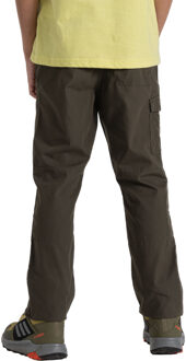 Craghoppers Kinderen/Kinderen Kiwi II-broek (Bosgroen) Donkergroen