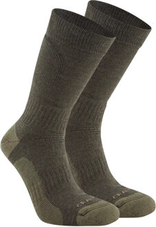 Craghoppers Trek Merino Wollen Sokken voor volwassenen (Bosgroen) Donkergroen - EU 43 - 46