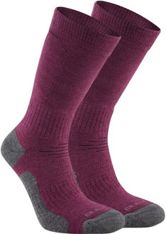 Craghoppers Trek Merino Wollen Sokken voor volwassenen (Wilde bosbes paars) - maat EU 40 - 42